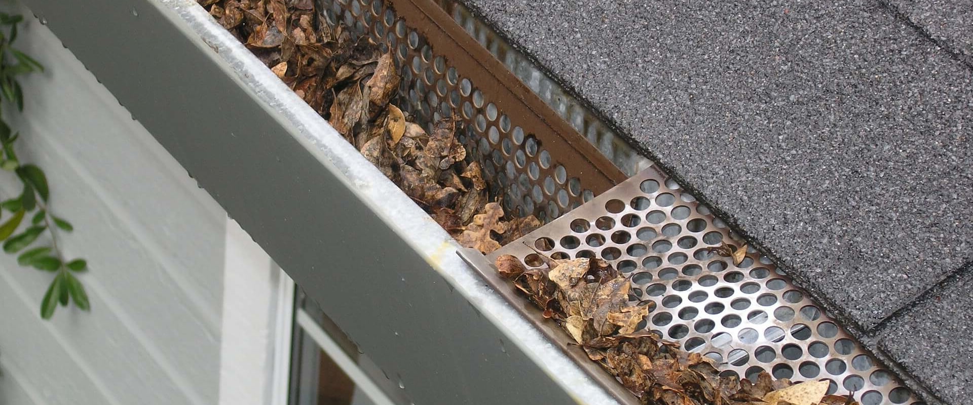Cleaning Gutters: How to Prevent and Eliminate Bee Habitats