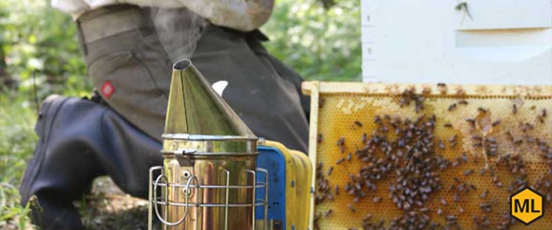 Smoke Bee Removal: A Comprehensive Overview