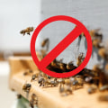 Safety During Bee Removal