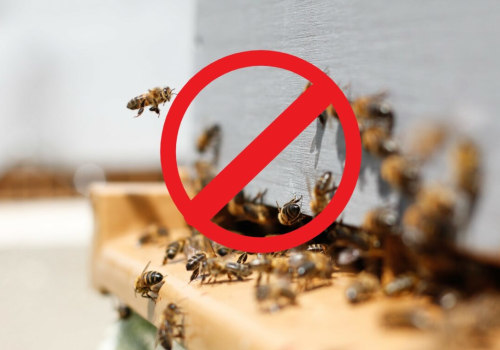 Safety During Bee Removal